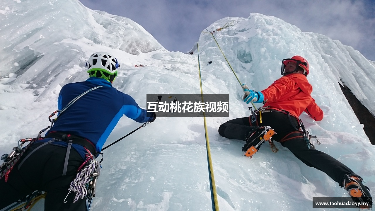 互动桃花族视频